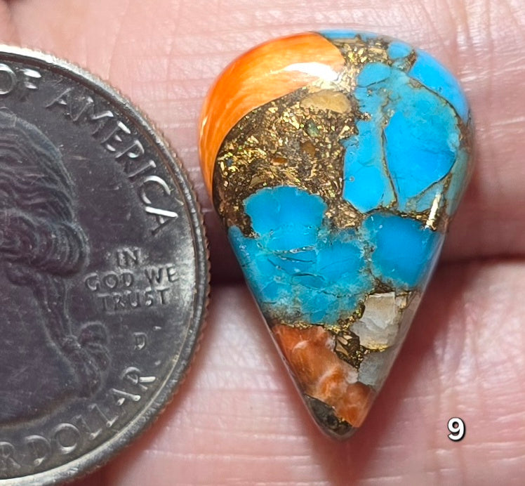 #9 Spiny Oyster Turquoise