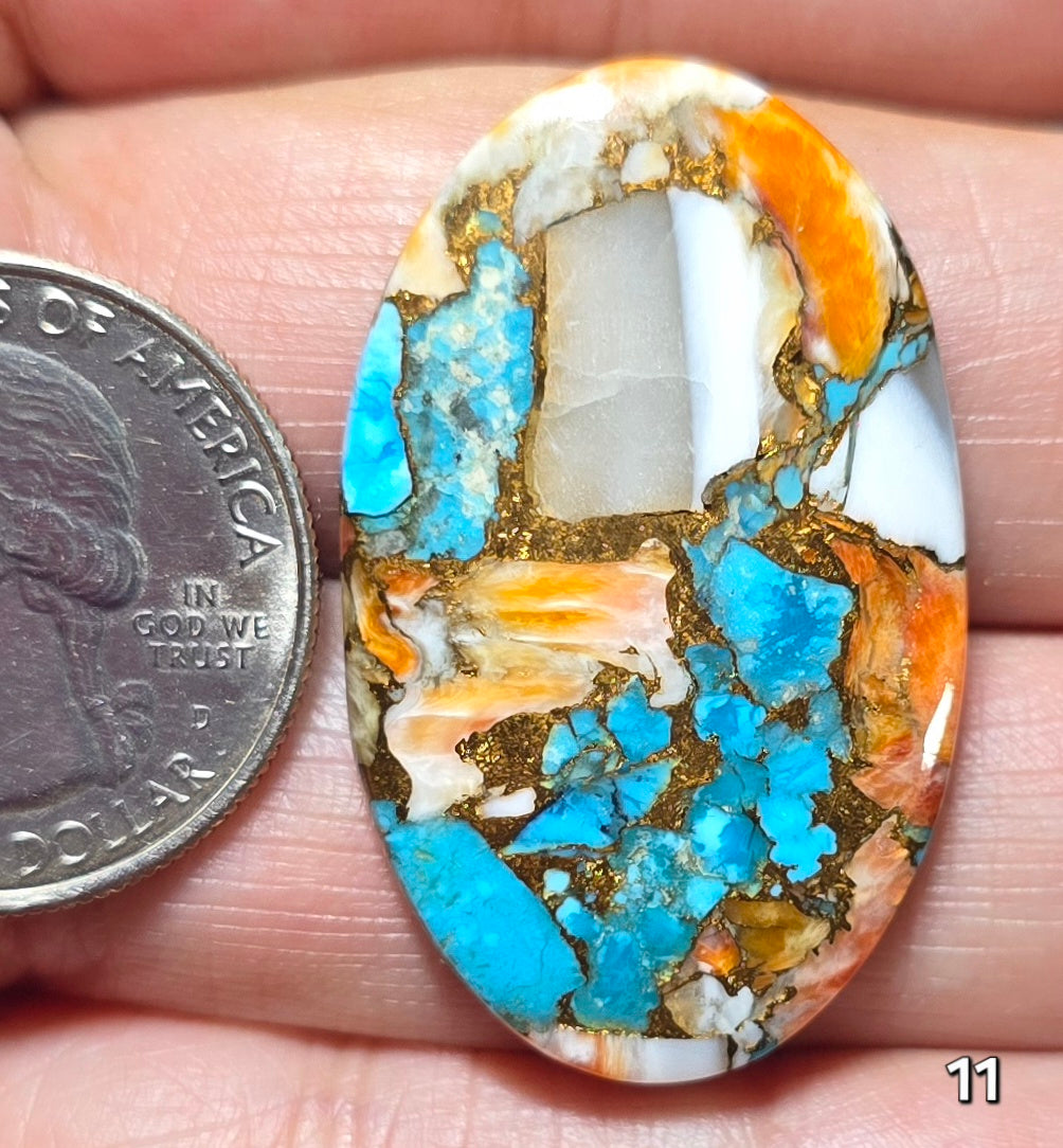 #11 Spiny Oyster Turquoise