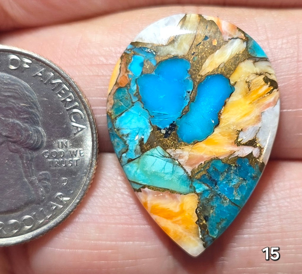 #15 Spiny Oyster Turquoise