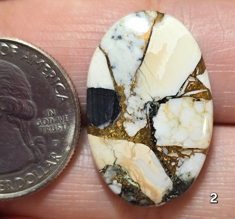 #2 White Buffalo Bronze