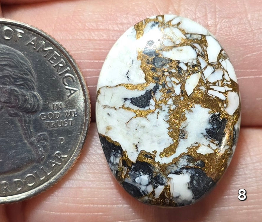 #8 White Buffalo Bronze