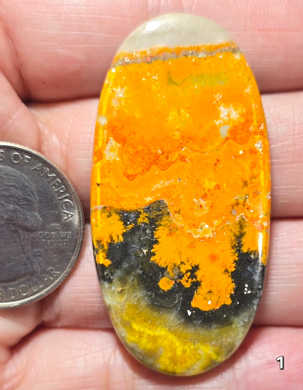 #1 Bumblebee Jasper