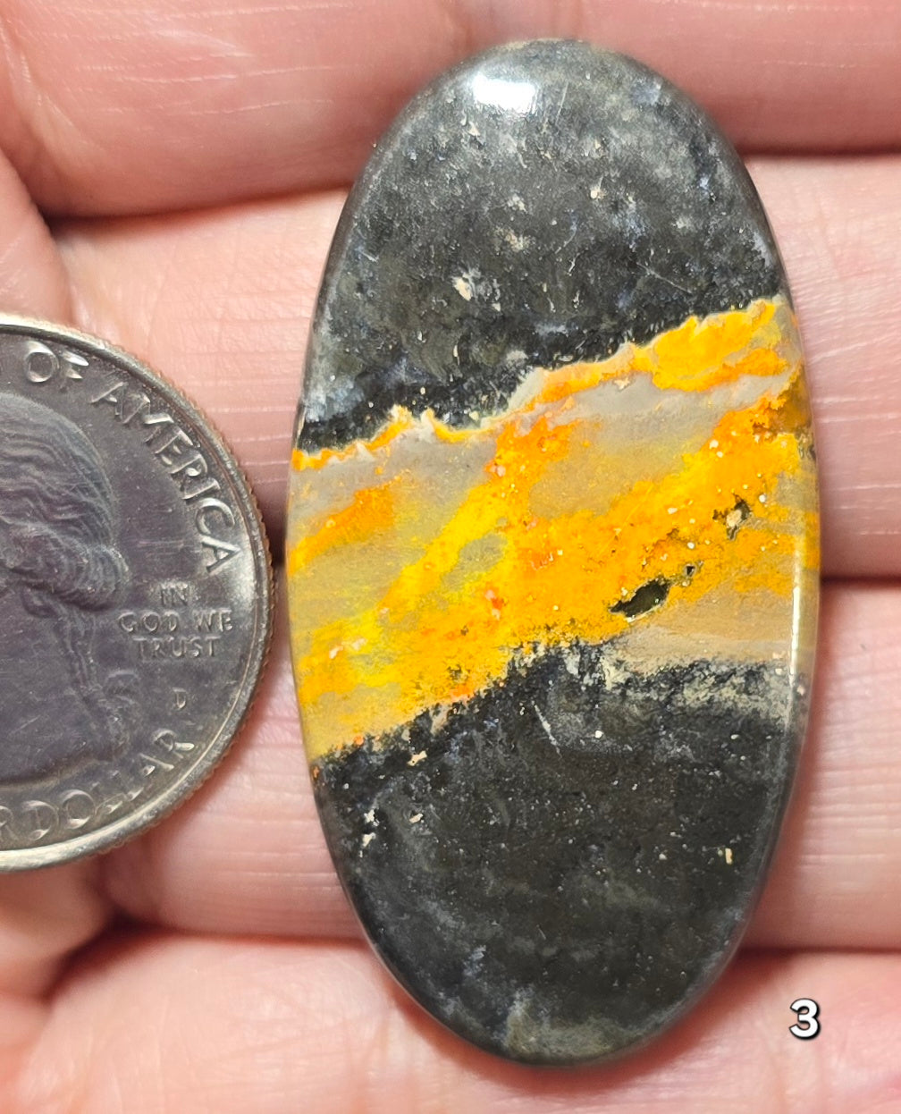 #3 Bumblebee Jasper