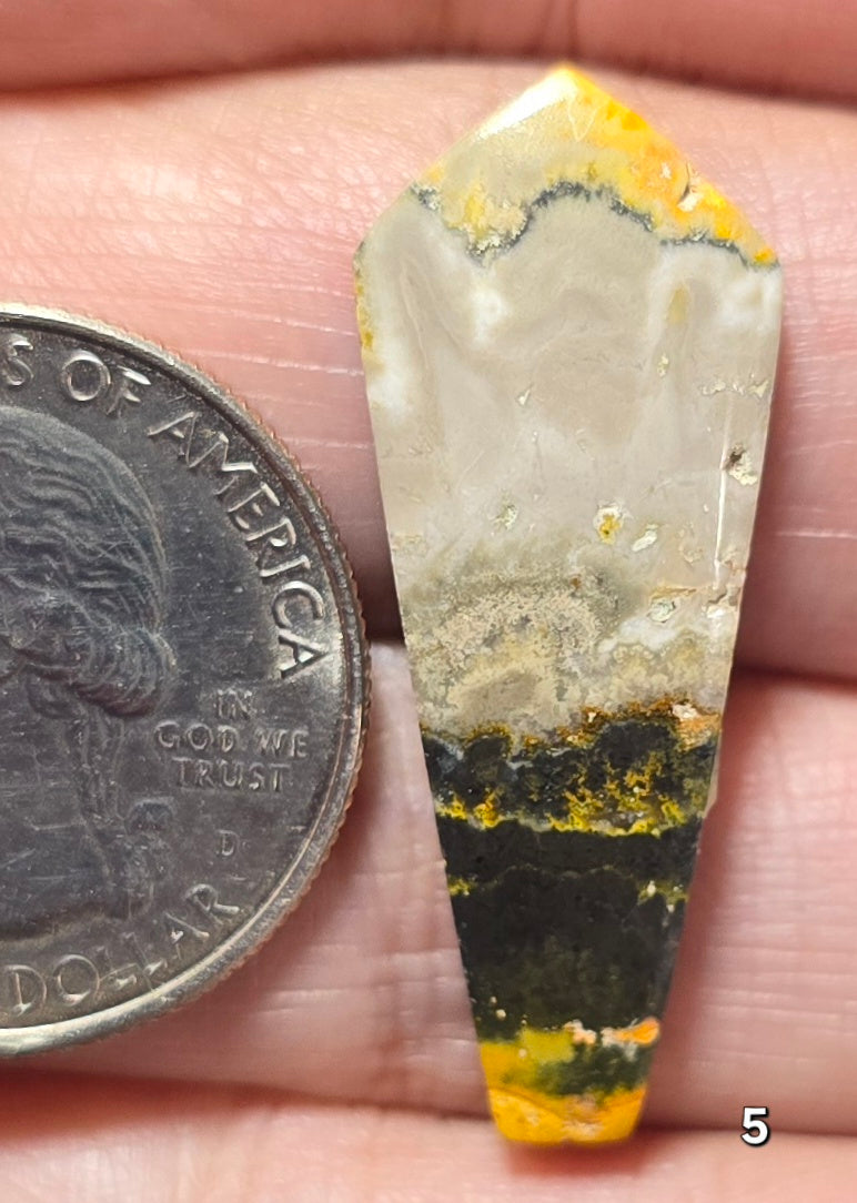#5 Bumblebee Jasper