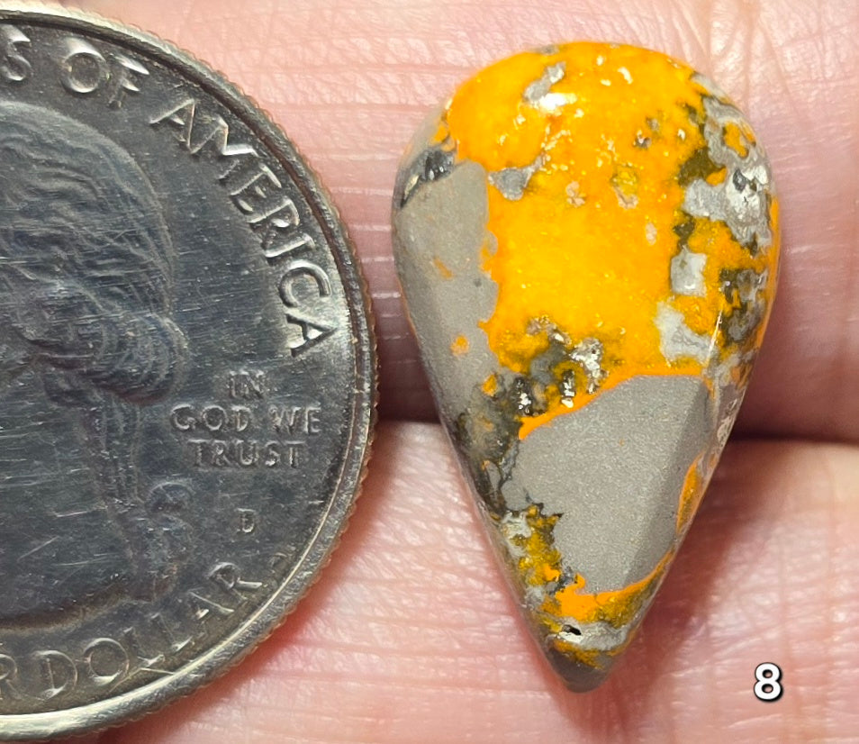 #8 Bumblebee Jasper