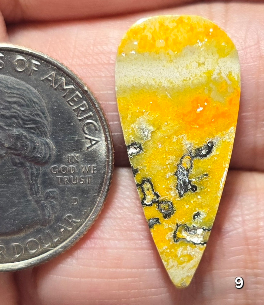 #9 Bumblebee Jasper