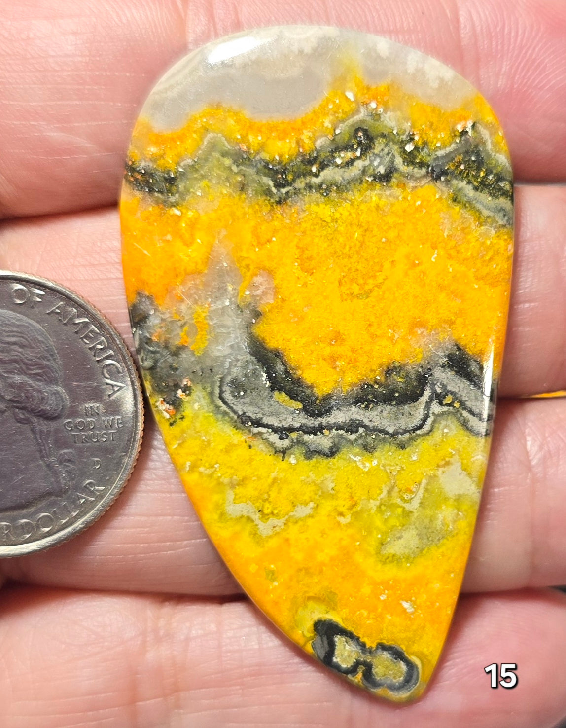 #15 Bumblebee Jasper