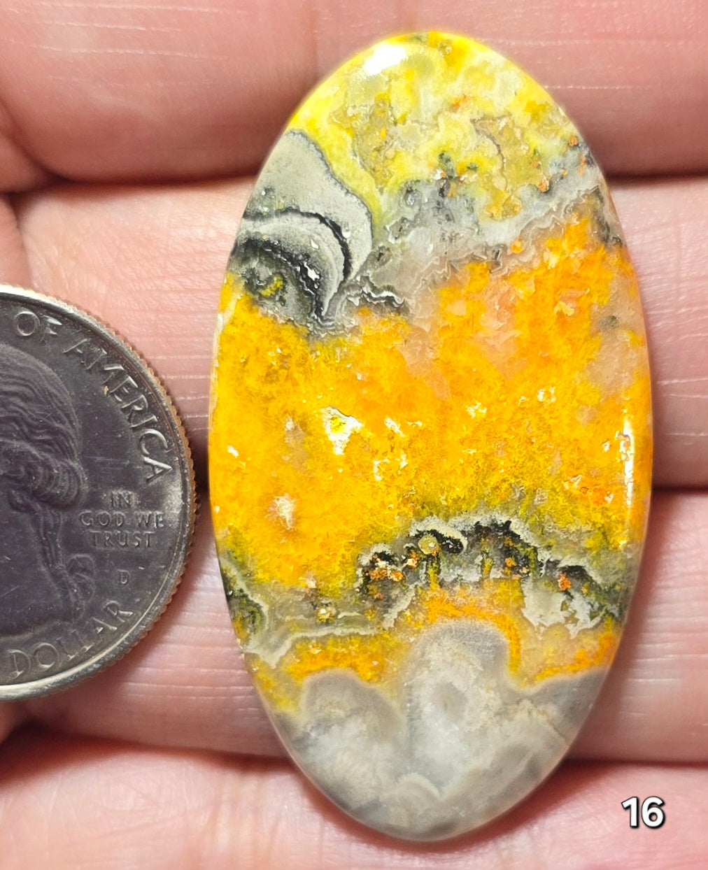#16 Bumblebee Jasper