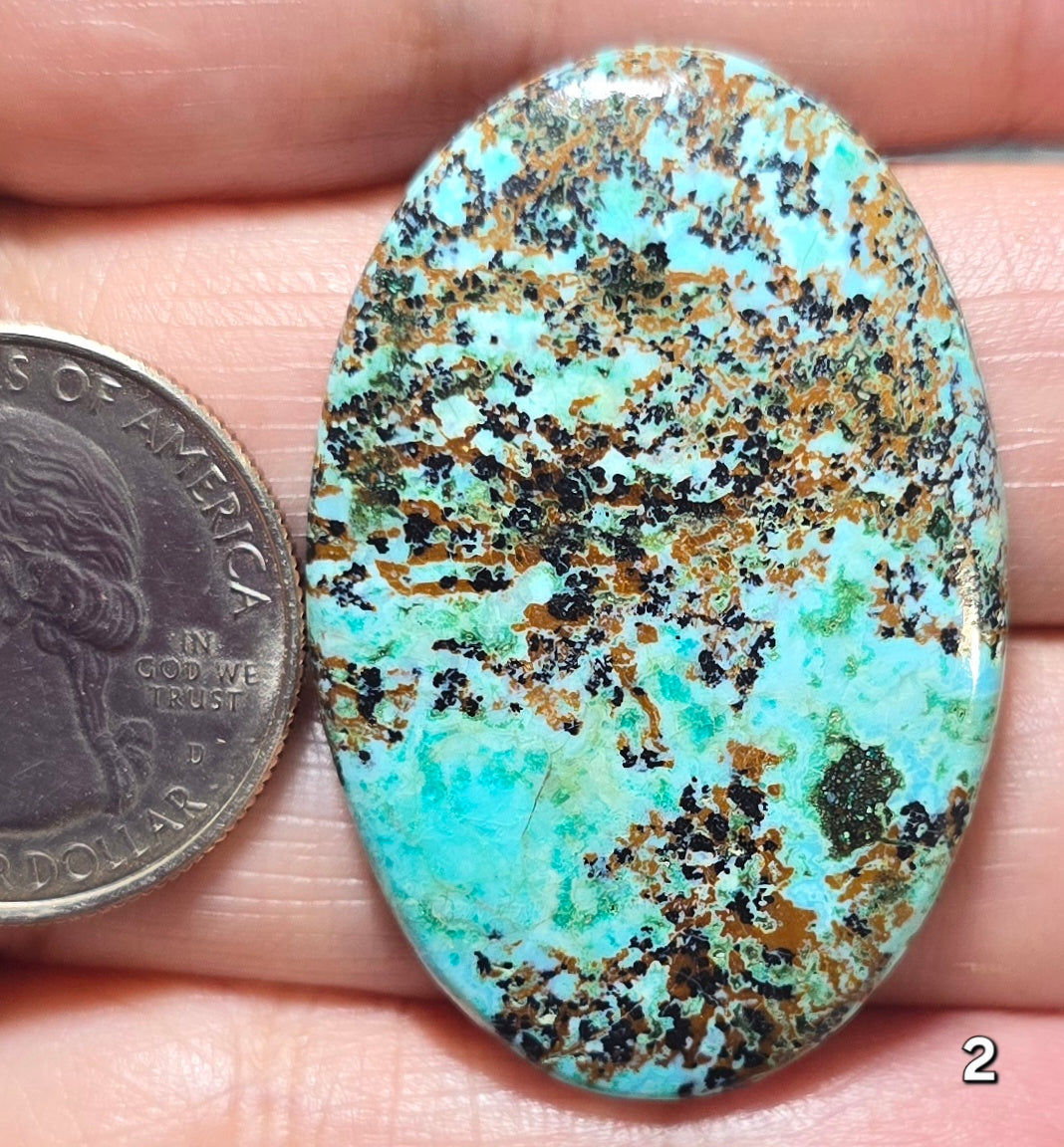 #2 Turquoise Chrysocolla