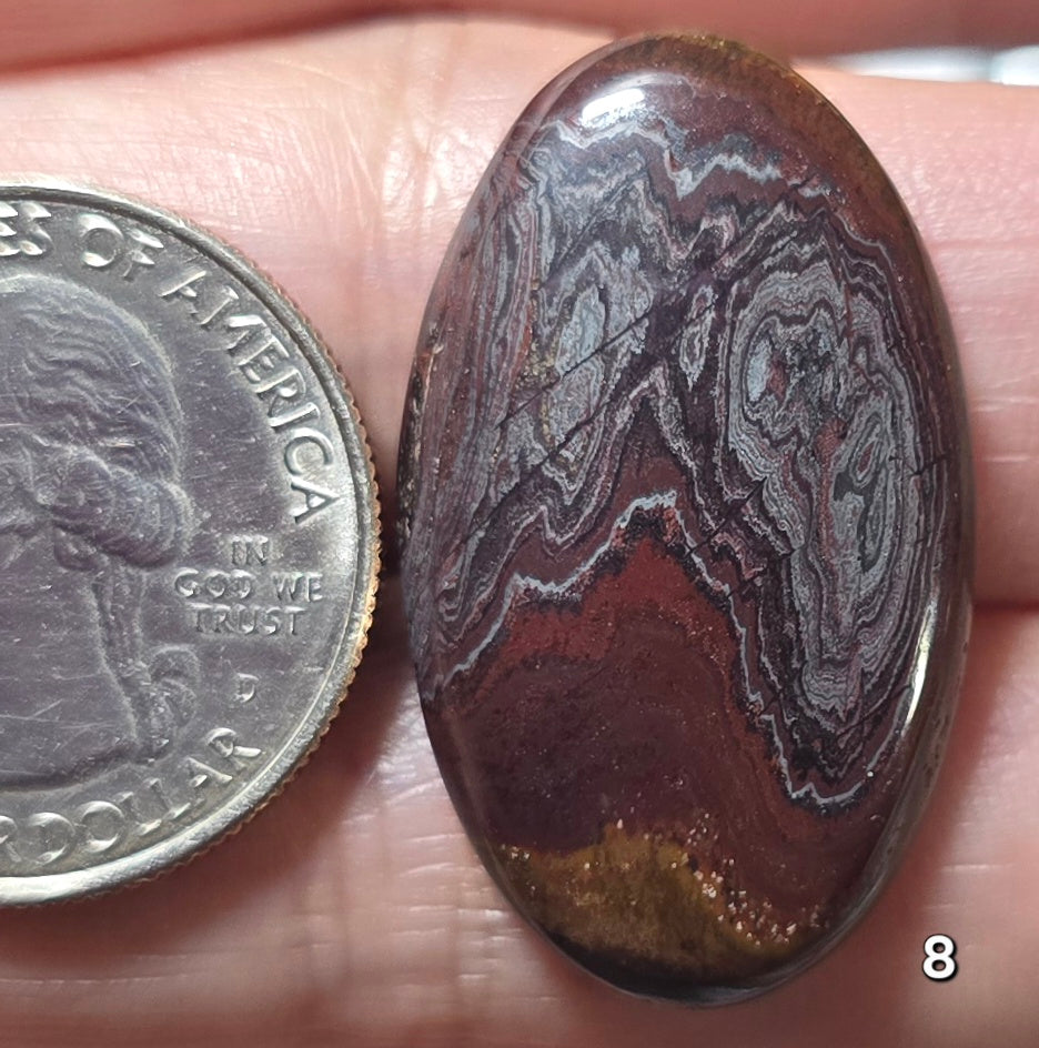 #8 Iron Tiger Eye Composite