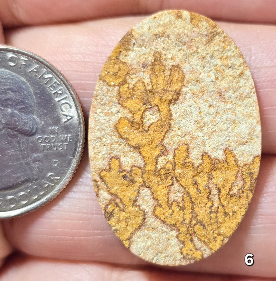 #6 Psilomelane Dendrite