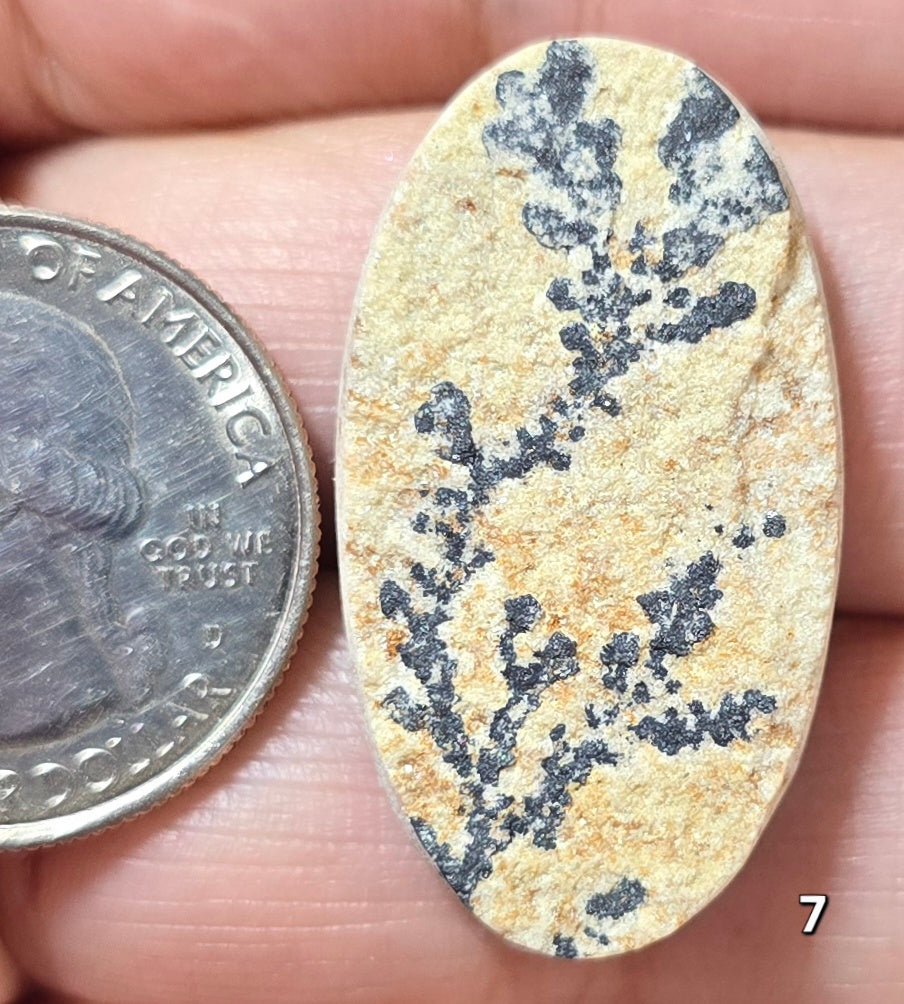 #7 Psilomelane Dendrite