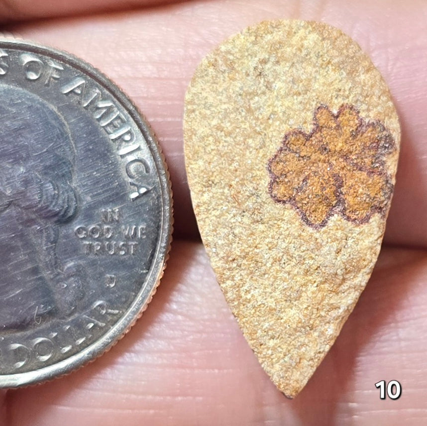 #10 Psilomelane Dendrite