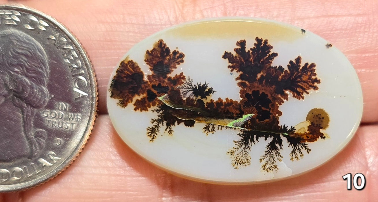 #10 Dendritic Quartz