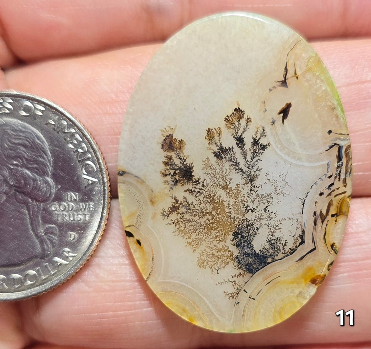 #11 Dendritic Quartz