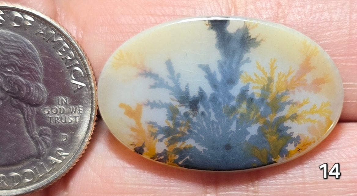 #14 Dendritic Quartz