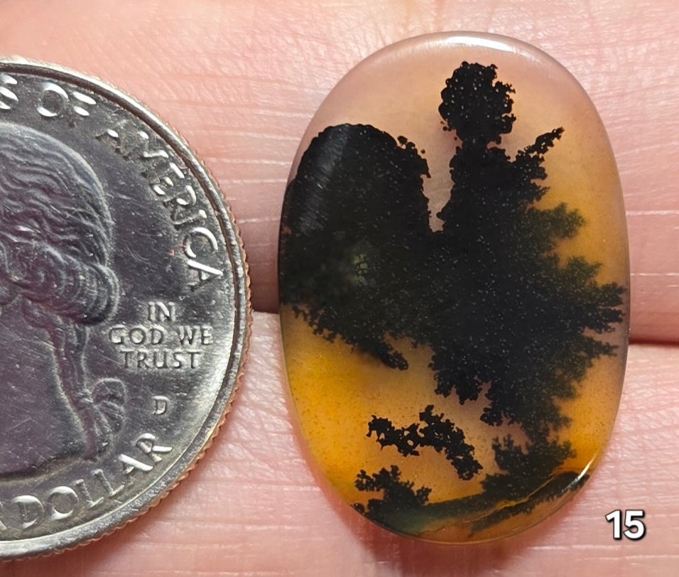 #15 Dendritic Quartz