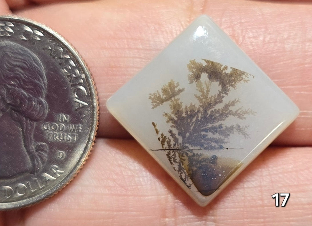 #17 Dendritic Quartz