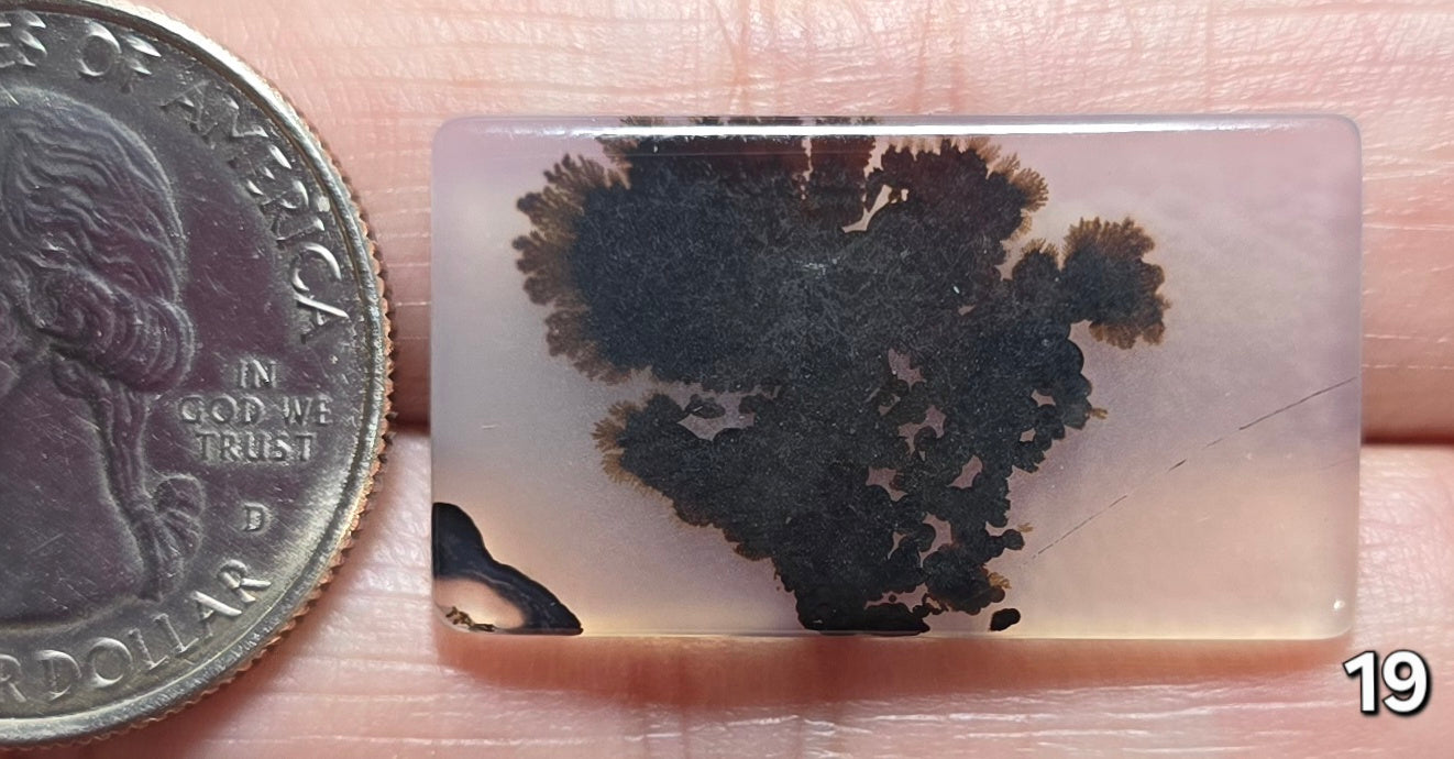 #19 Dendritic Quartz