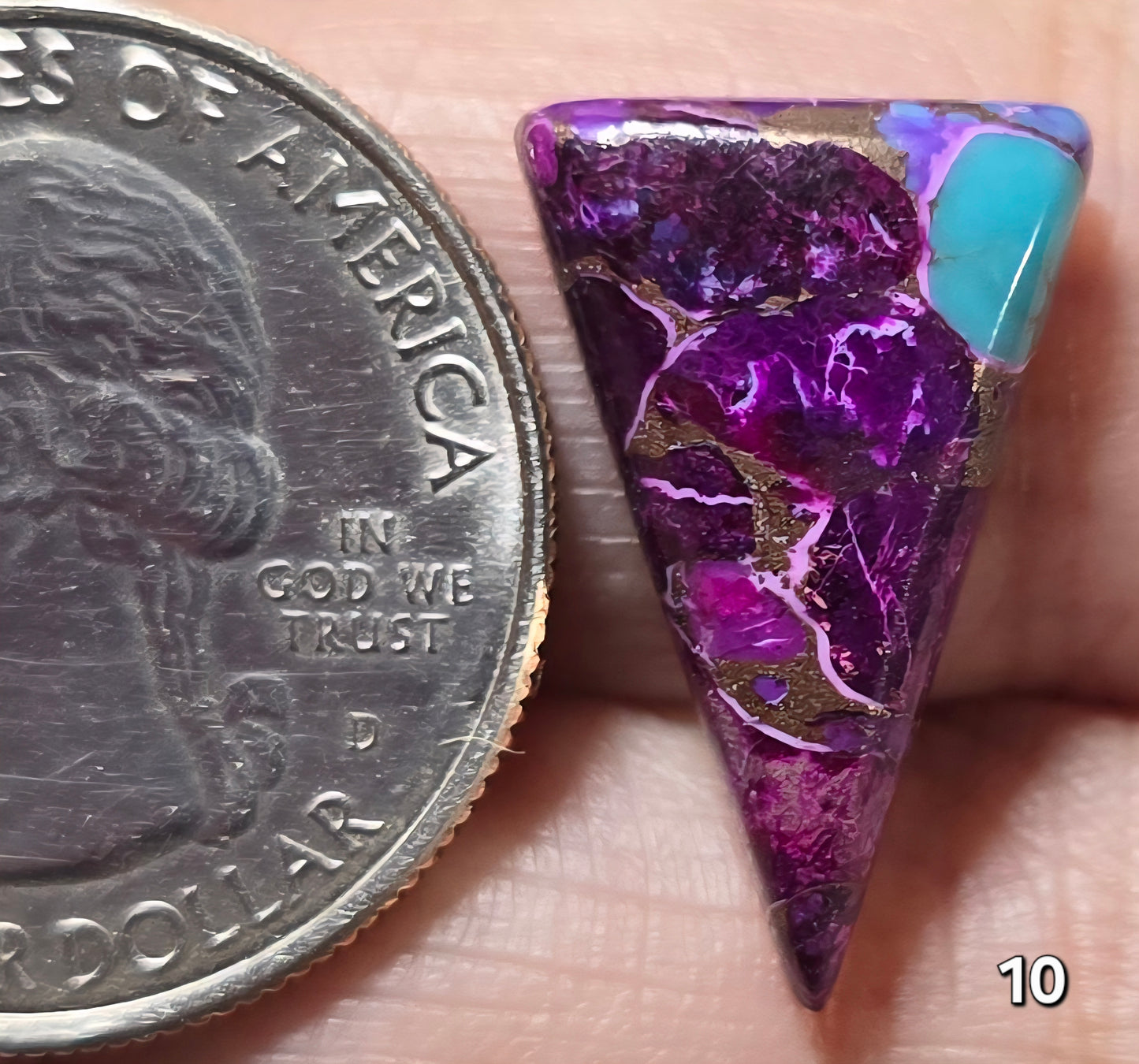 #10 Electric Violet Dahlia