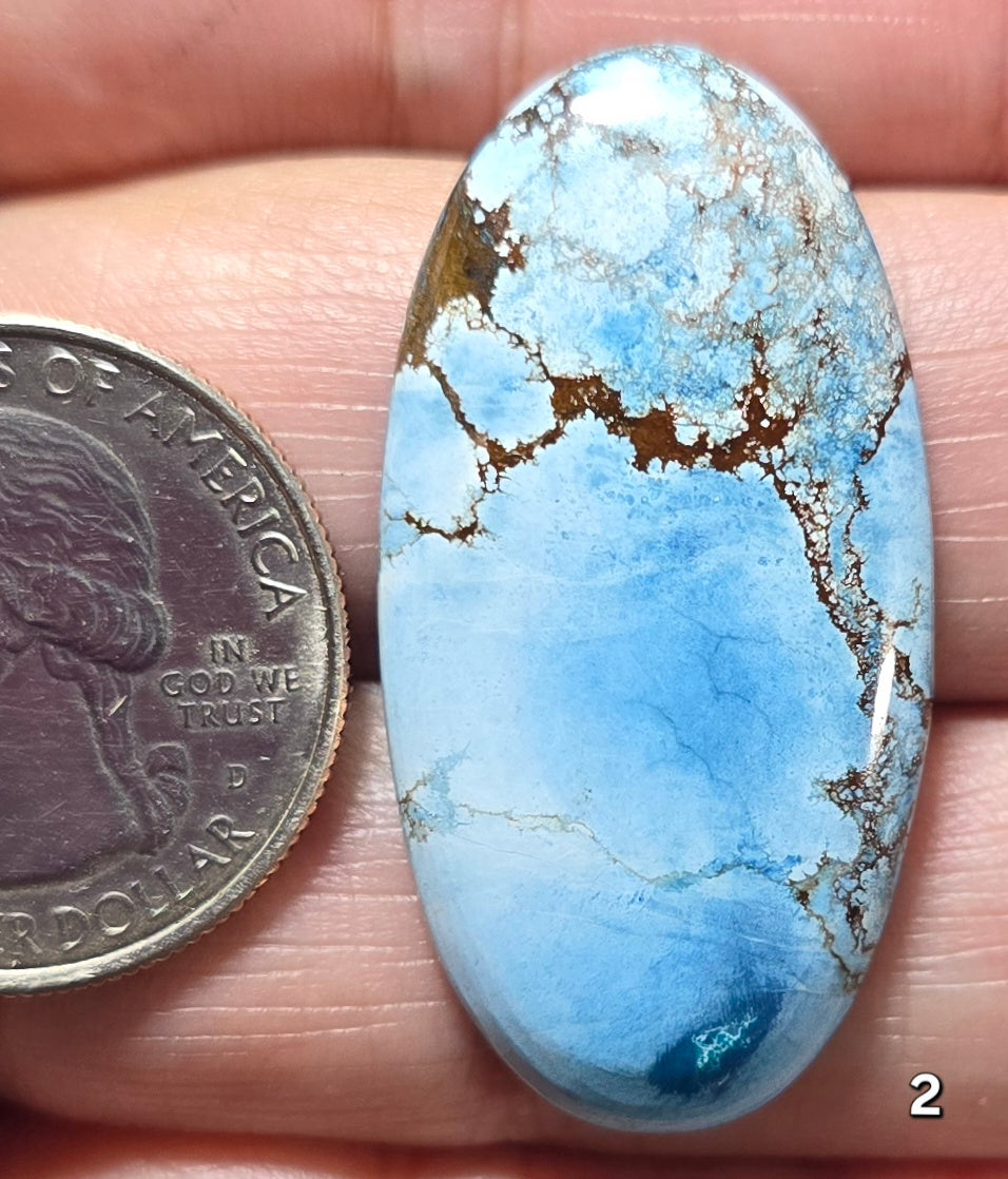 #2 Azure Wild Horse Jasper