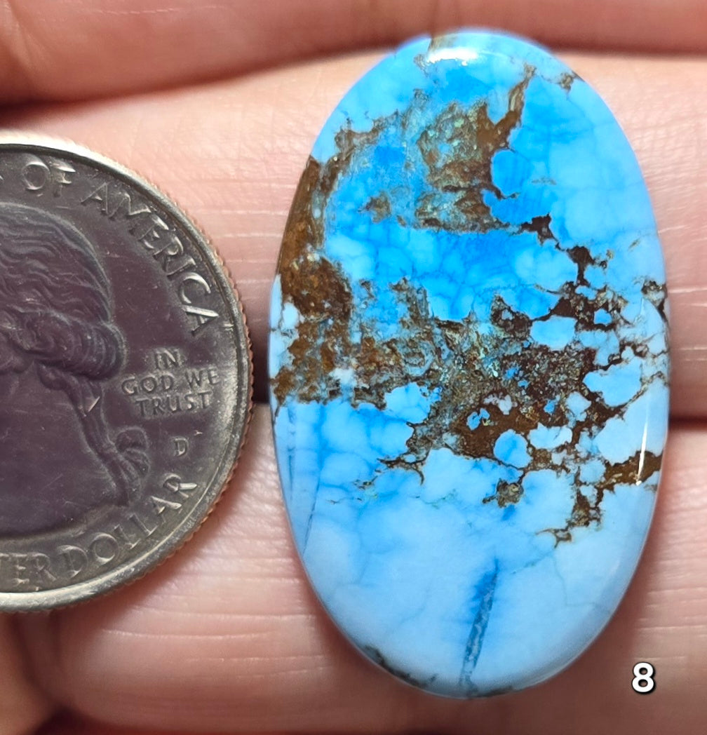 #8 Azure Wild Horse Jasper