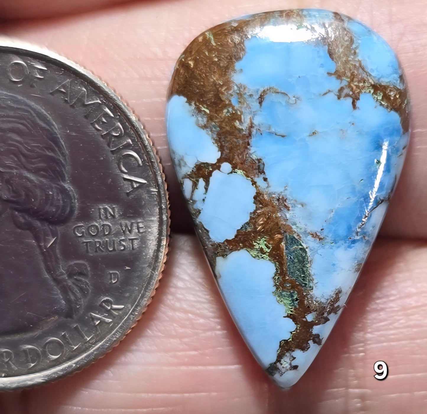 #9 Azure Wild Horse Jasper