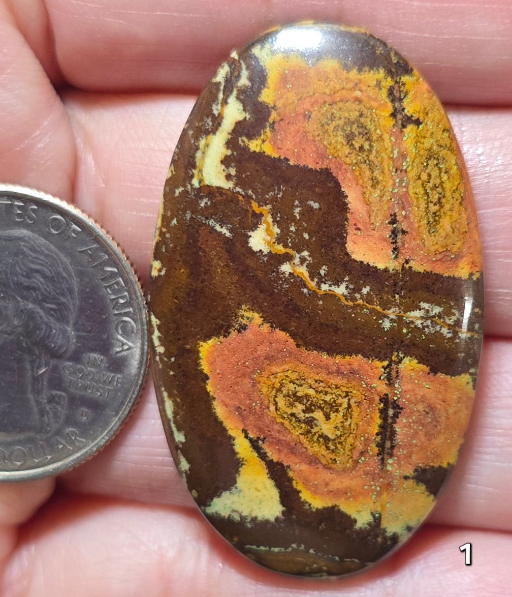 #1 Australian Picture Jasper