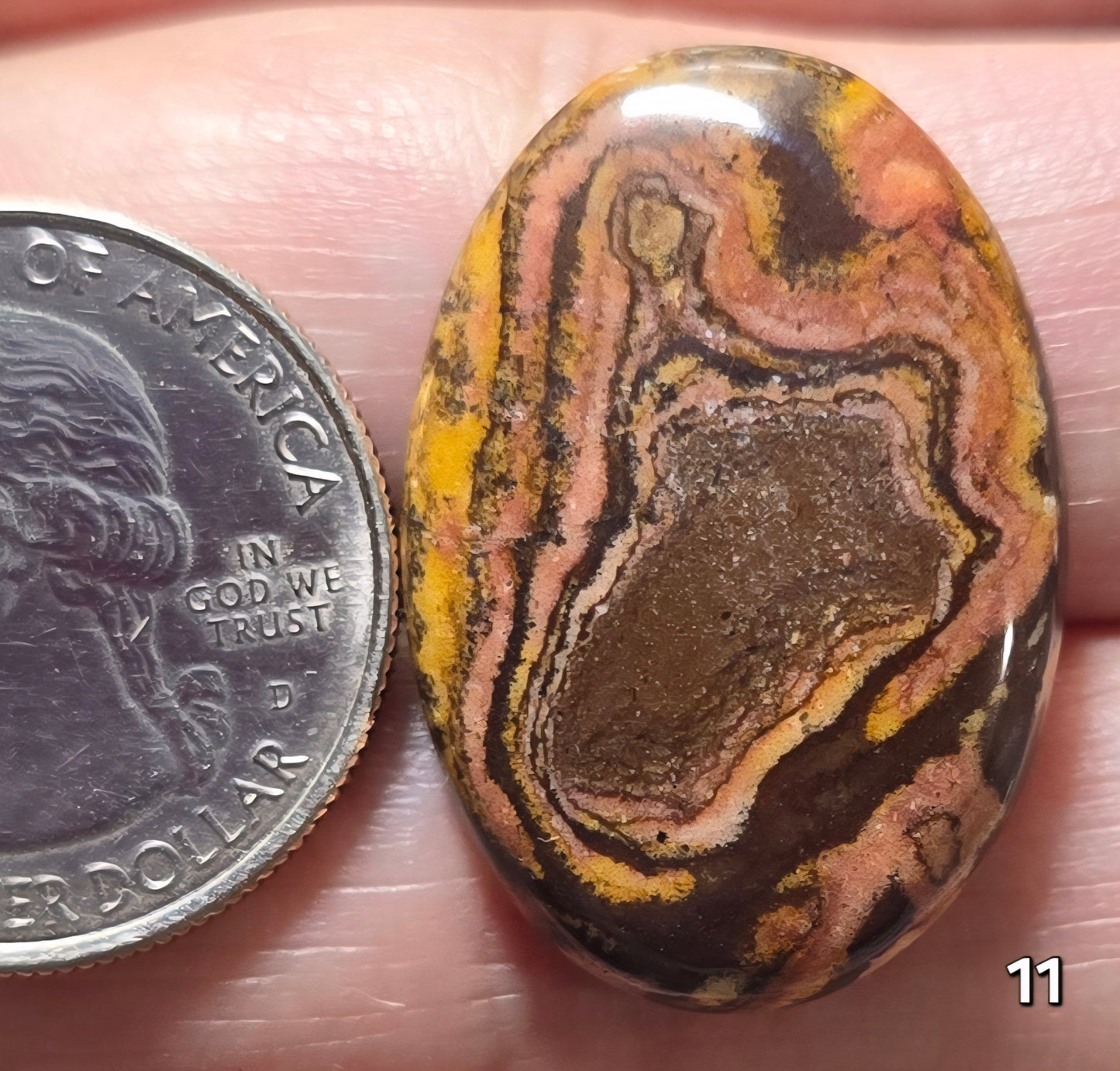 #11 Australian Picture Jasper