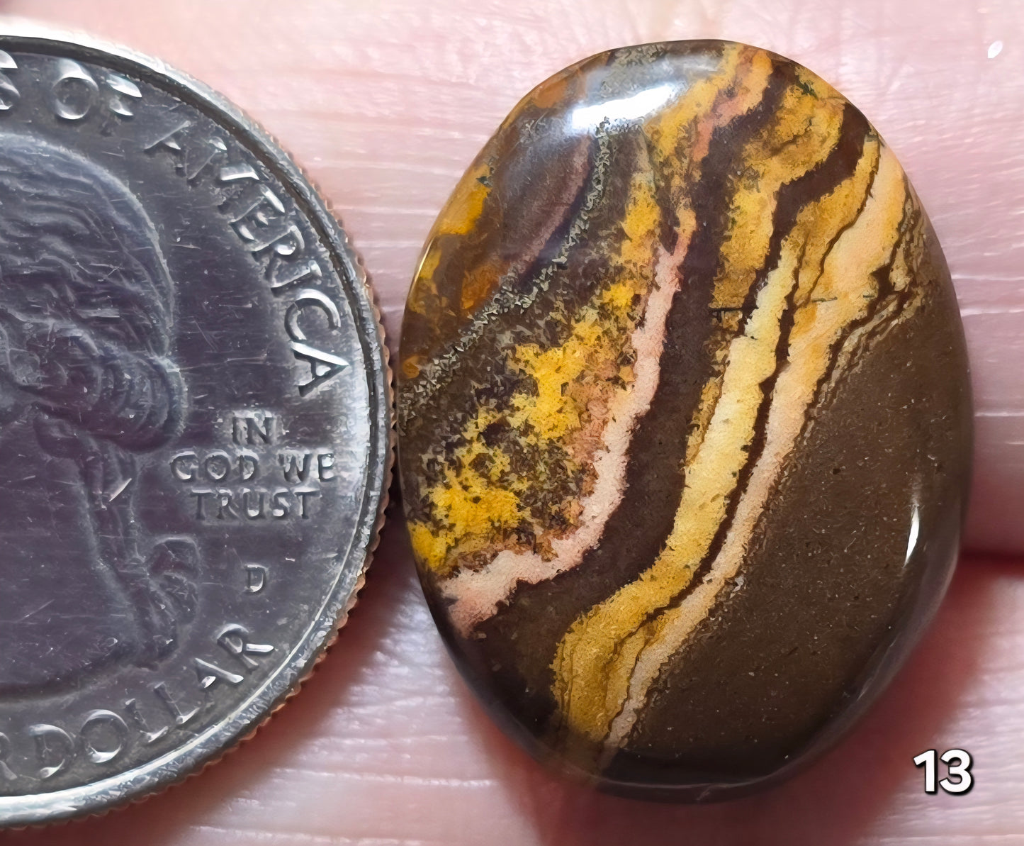 #13 Australian Picture Jasper