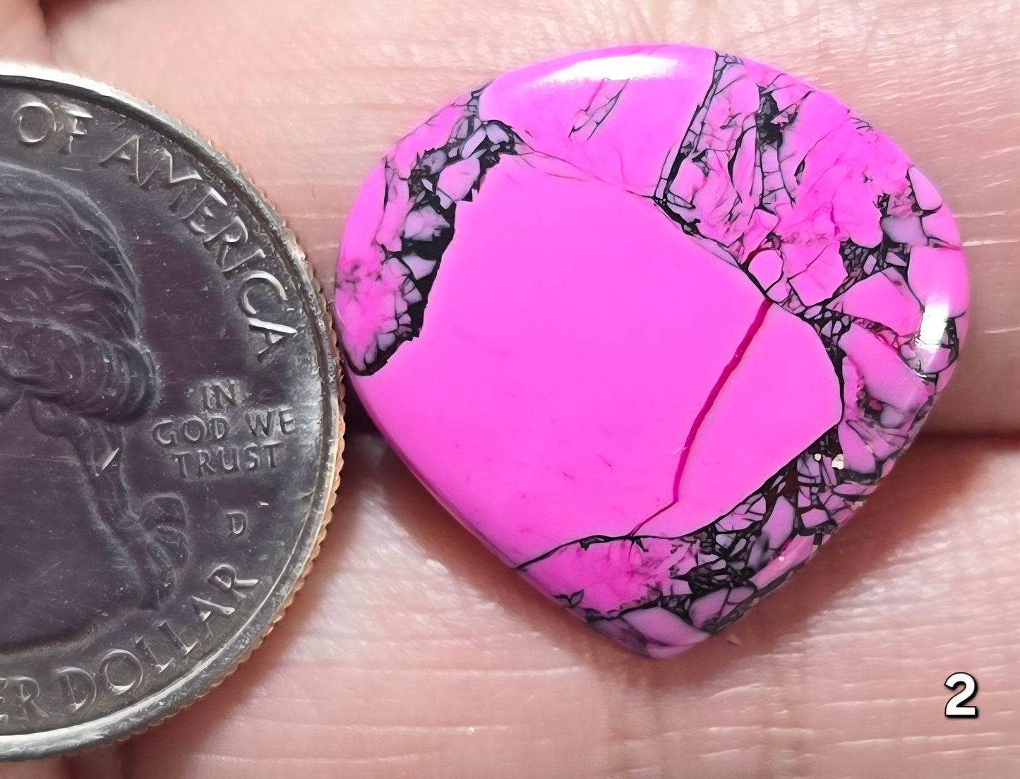 #2 Cherry Blossom Dahlia