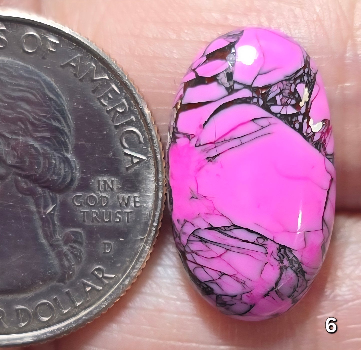 #6 Cherry Blossom Dahlia