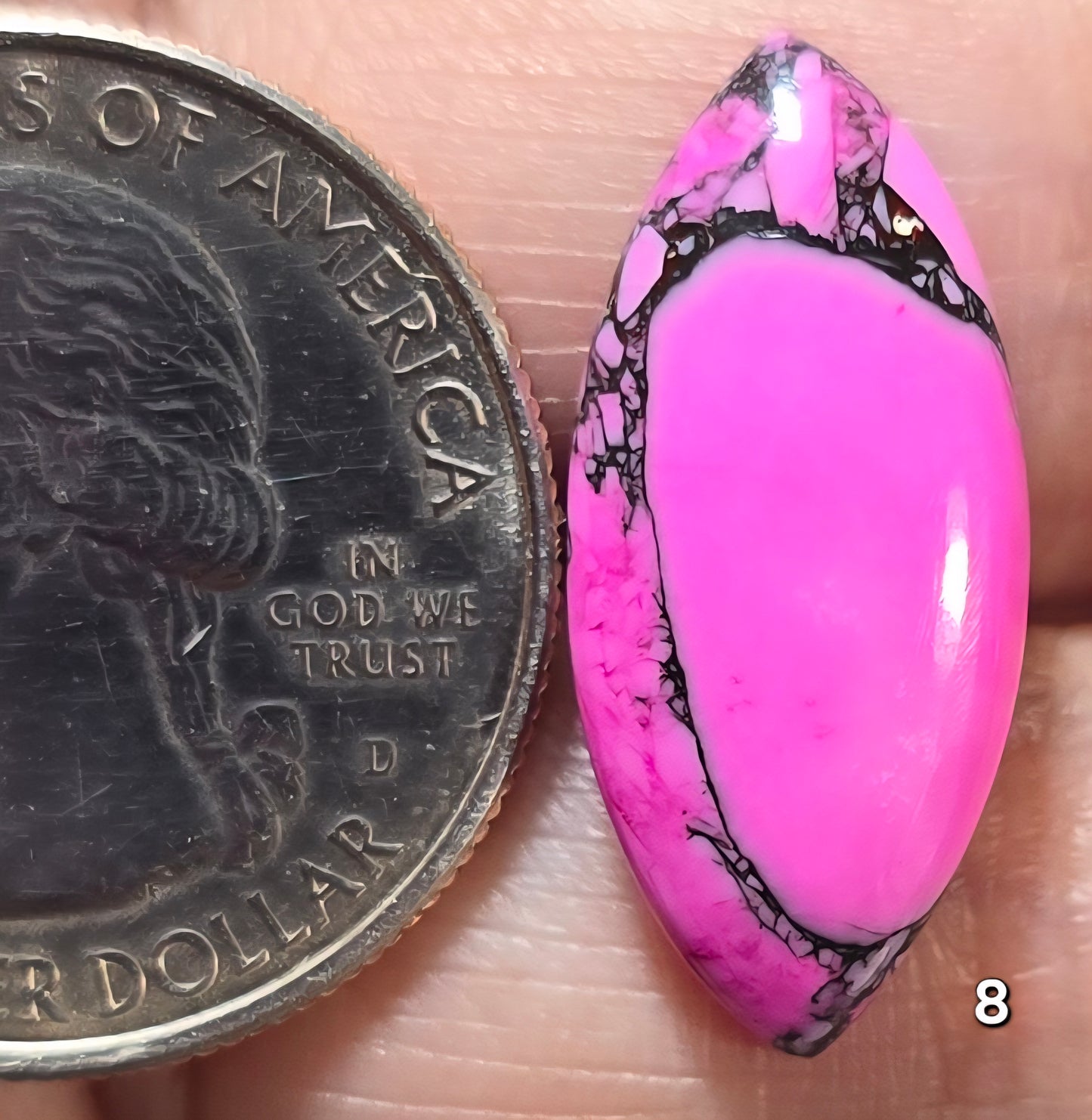 #8 Cherry Blossom Dahlia