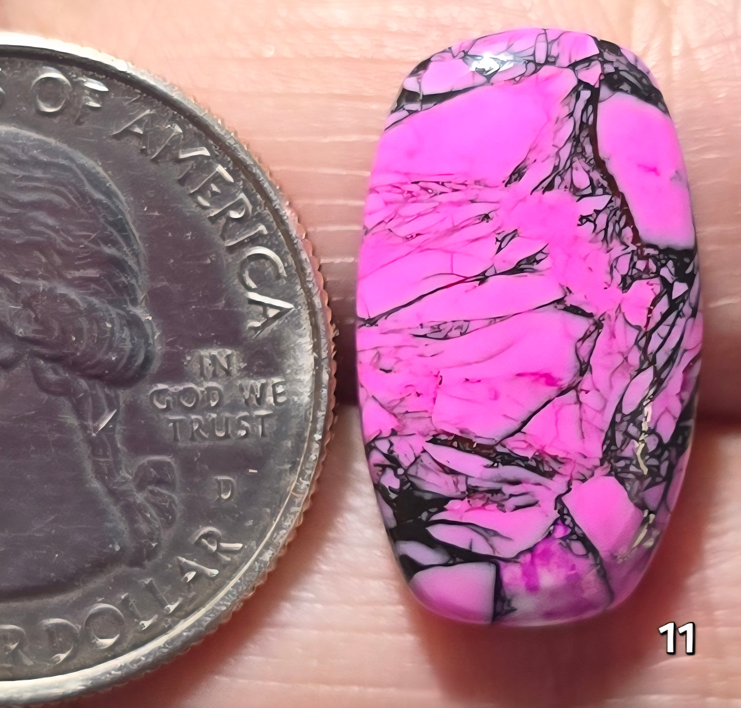 #11 Cherry Blossom Dahlia