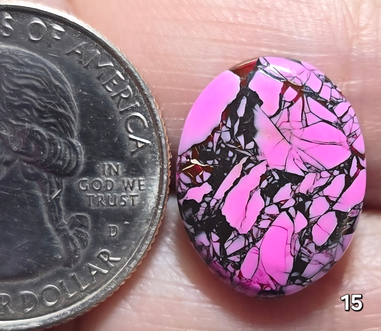 #15 Cherry Blossom Dahlia