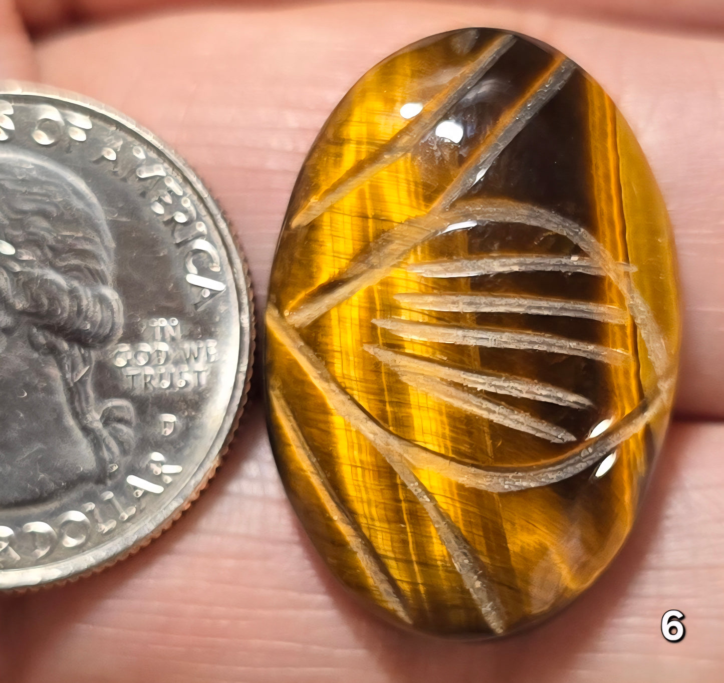 #6 Carved Tiger Eye Cabochon