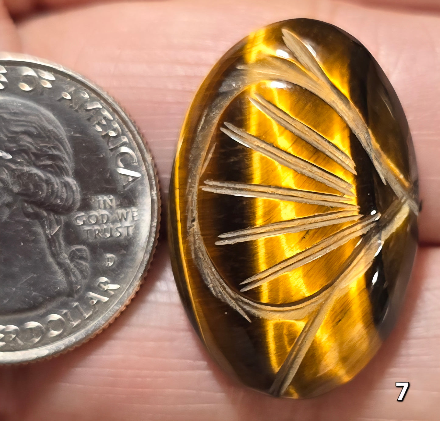 #7 Carved Tiger Eye Cabochon