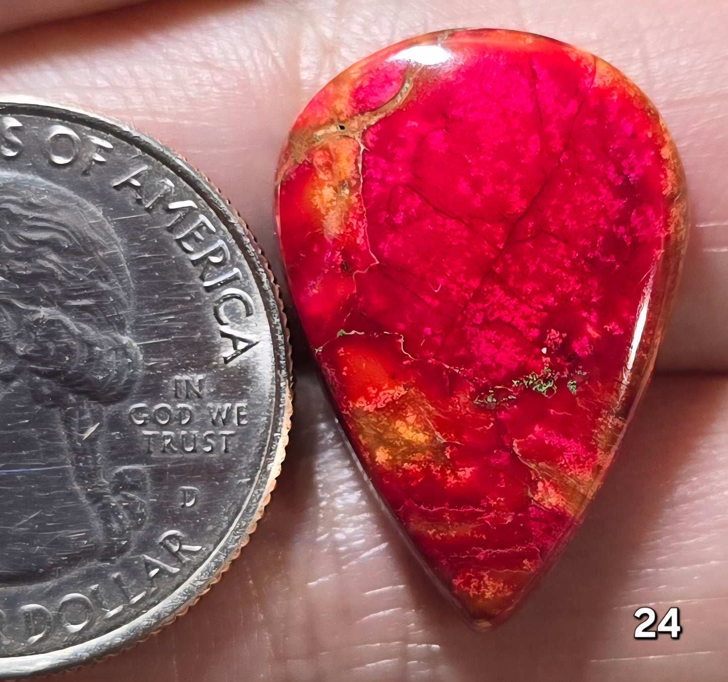 #24 Sea Sediment Jasper
