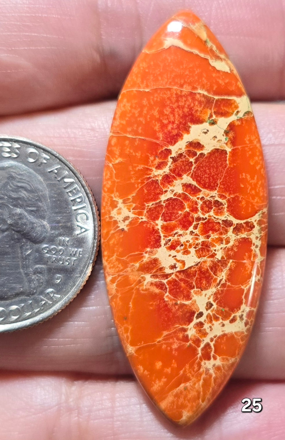 #25 Sea Sediment Jasper