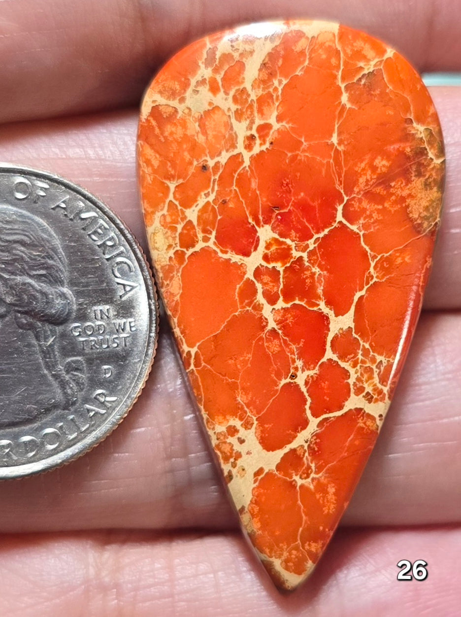 #26 Sea Sediment Jasper