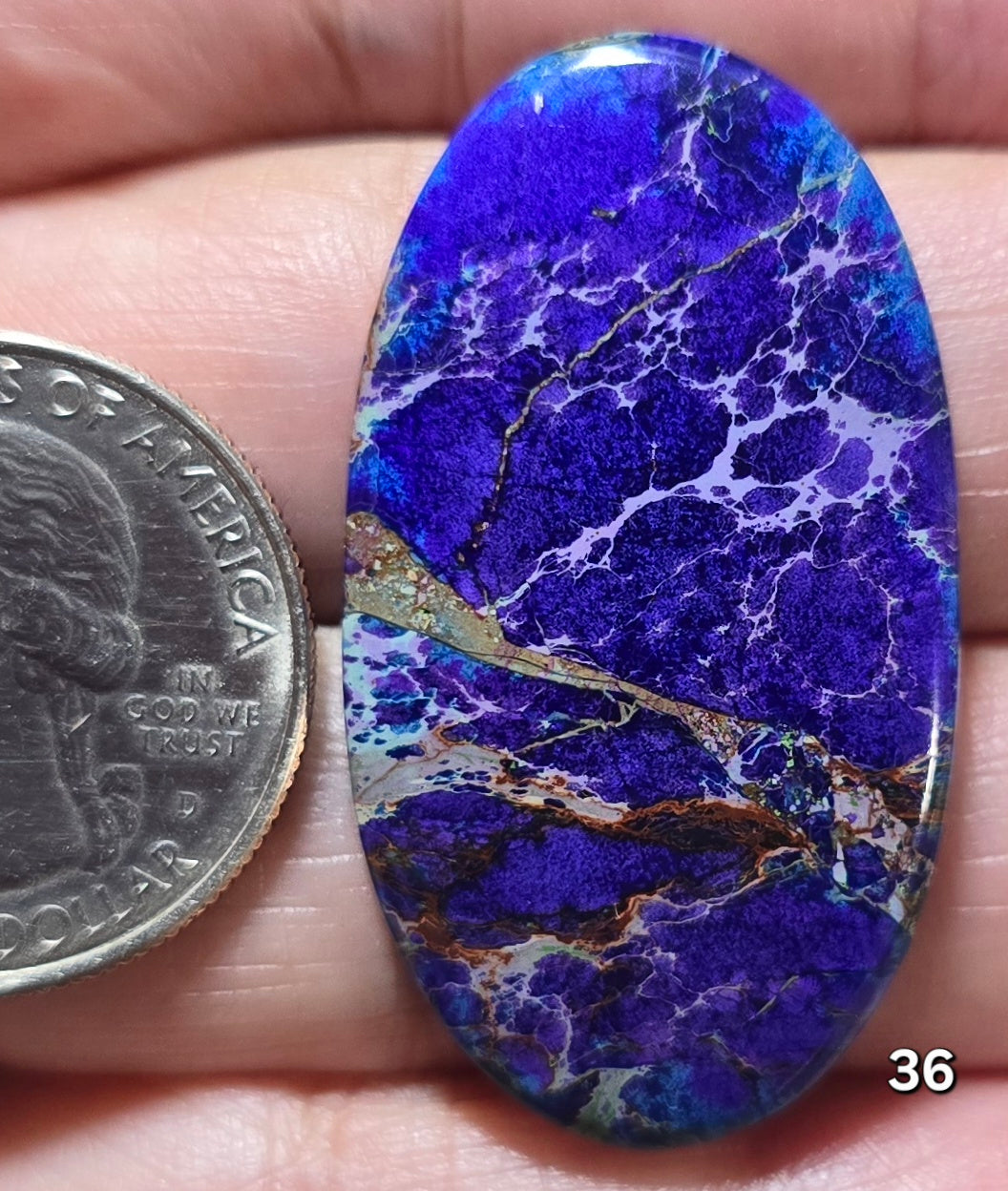 #36 Sea Sediment Jasper
