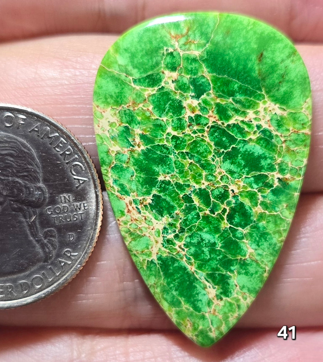 #41 Sea Sediment Jasper