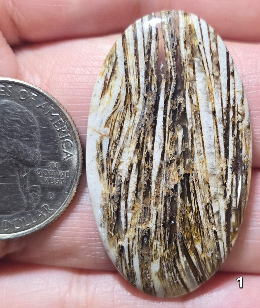 #1 Lattice Agate