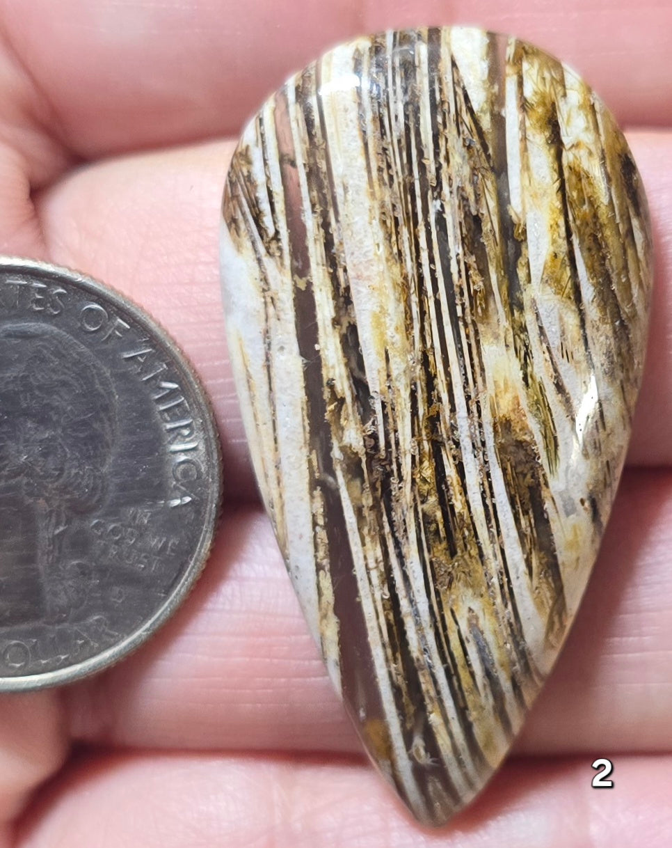 #2 Lattice Agate