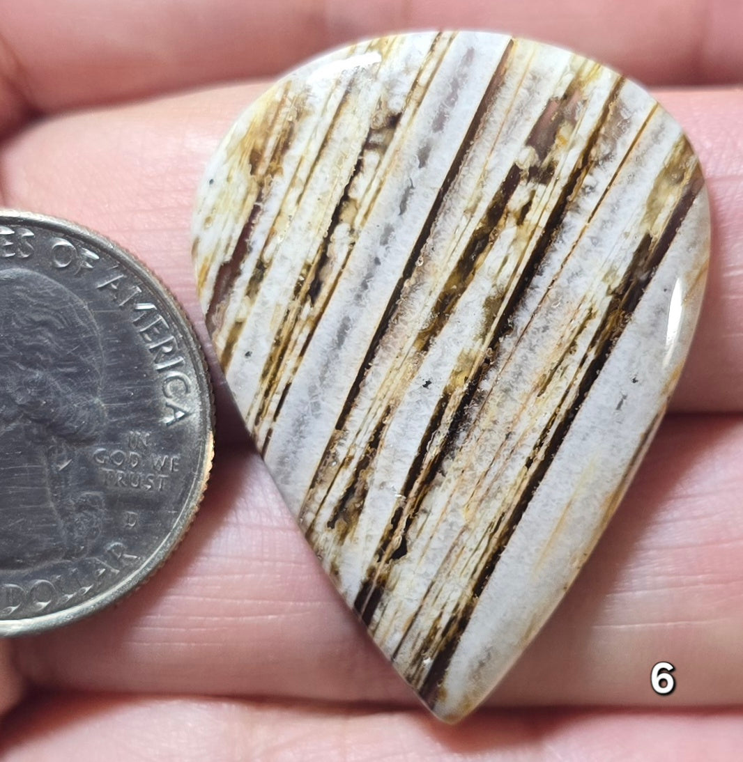#6 Lattice Agate