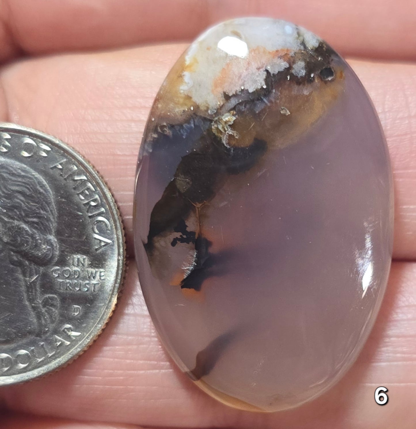 #6 Montana Agate