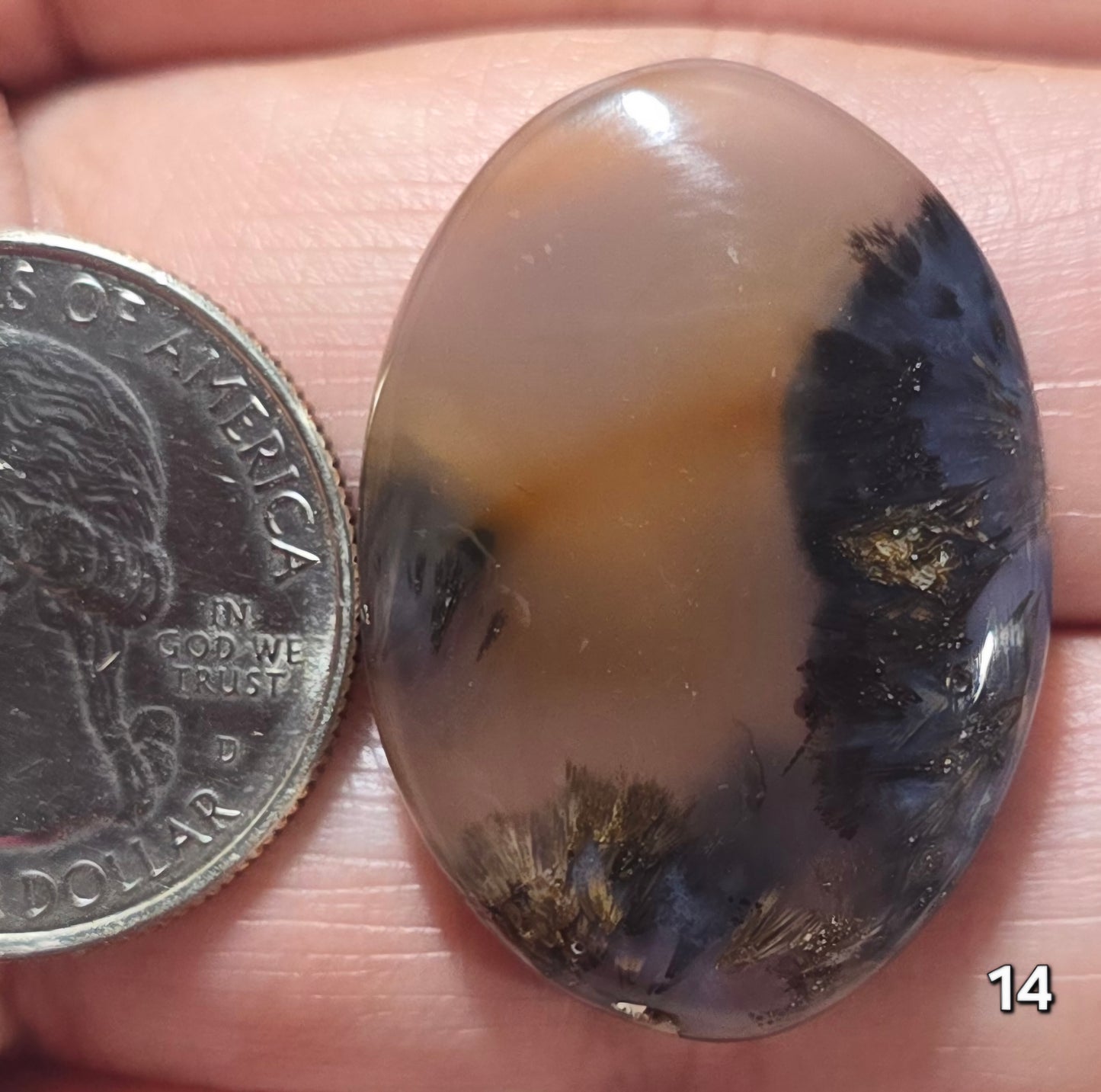 #14 Montana Agate