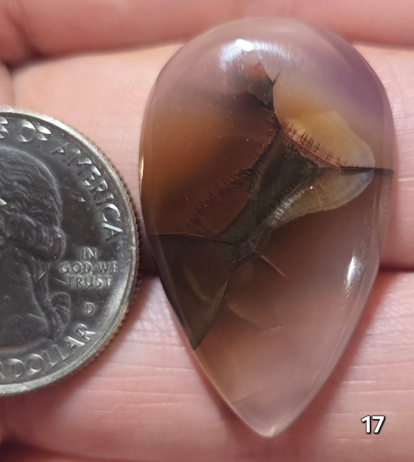 #17 Montana Agate
