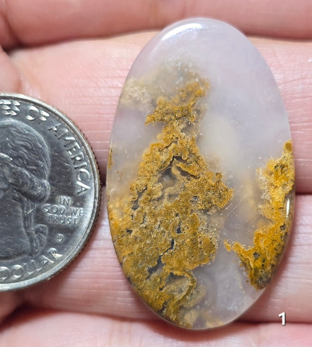 #1 Brown Moss Agate