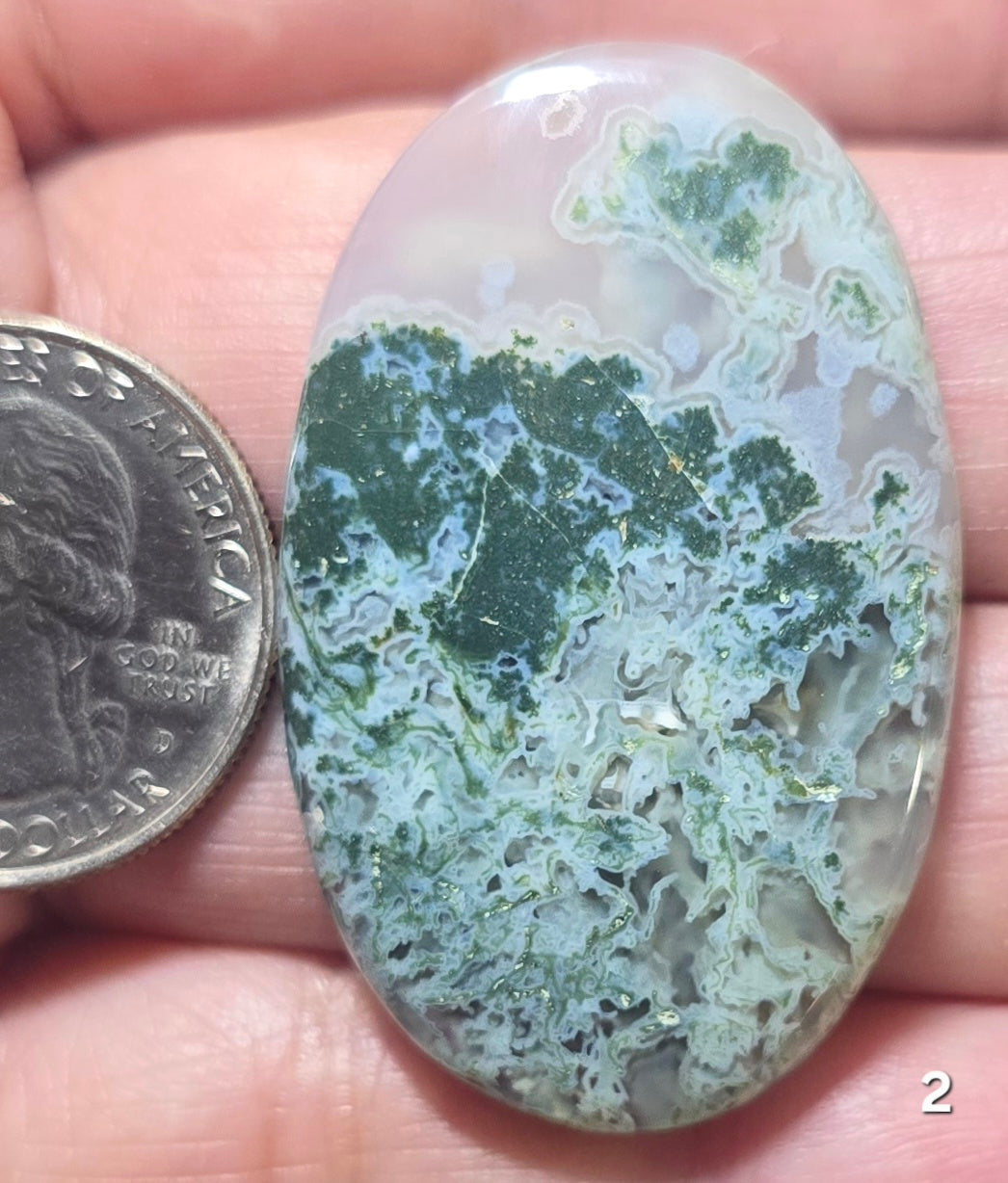 #2 Blue Moss Agate